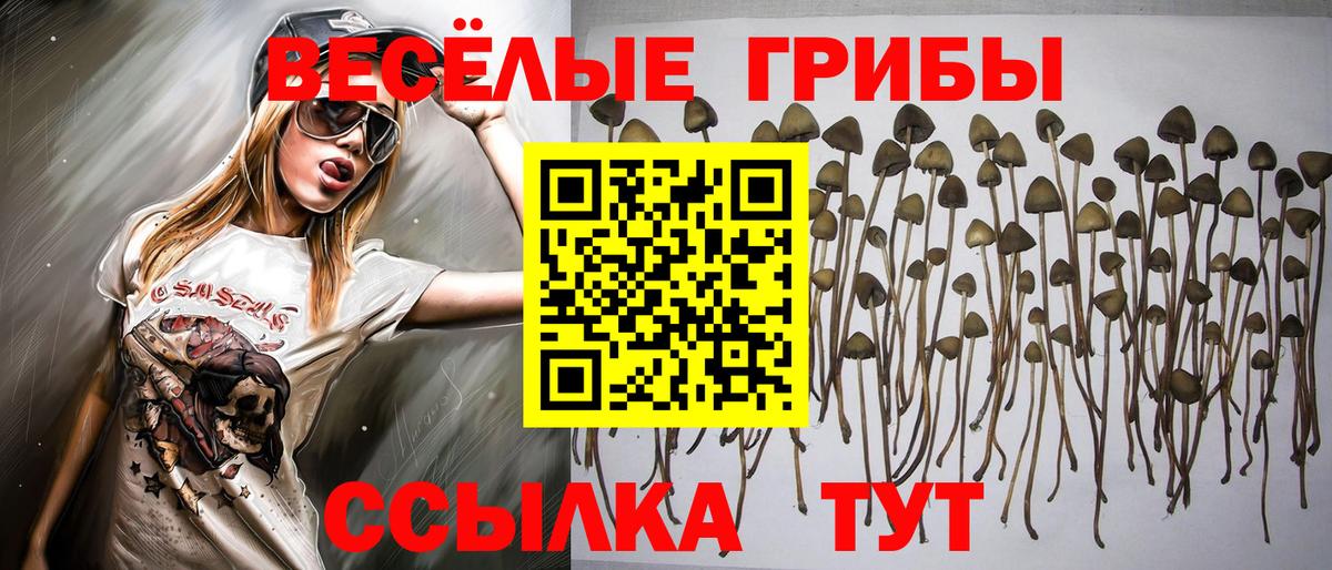 Мирный  Псилоцибиновые грибы ЛСД  Вход с VPN  Галлюциногенные грибы мухоморы 